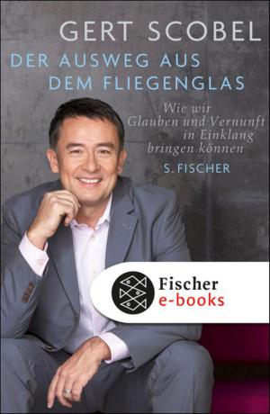 Cover of the book Der Ausweg aus dem Fliegenglas by Anita Albus