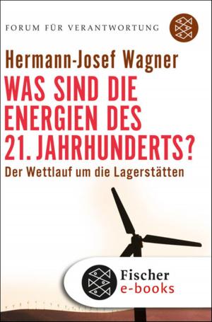 Cover of the book Was sind die Energien des 21. Jahrhunderts? by Richard Wiseman