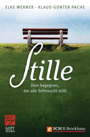 bigCover of the book Stille by 