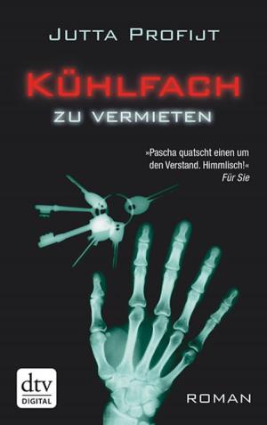 Cover of the book Kühlfach zu vermieten by Andrea C. Hoffmann, Patience I.