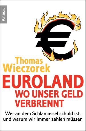 Book cover of Euroland: Wo unser Geld verbrennt