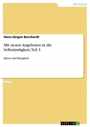 Cover of the book Mit neuen Angeboten in die Selbständigkeit, Teil 3 by Stefan Wehe