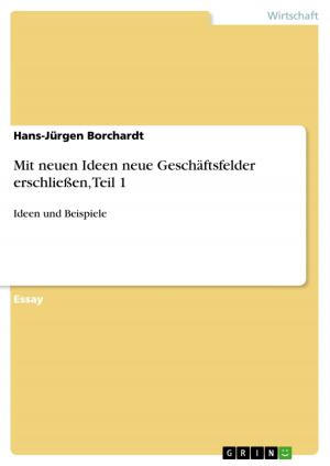 Cover of the book Mit neuen Ideen neue Geschäftsfelder erschließen, Teil 1 by Daniel Mauritz