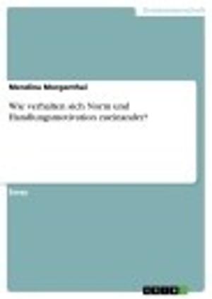 Cover of the book Wie verhalten sich Norm und Handlungsmotivation zueinander? by Manuel Noß