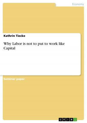 Cover of the book Why Labor is not to put to work like Capital by Christian Nicke
