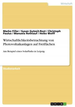 Cover of the book Wirtschaftlichkeitsbetrachtung von Photovoltaikanlagen auf Freiflächen by Friederike Schubert