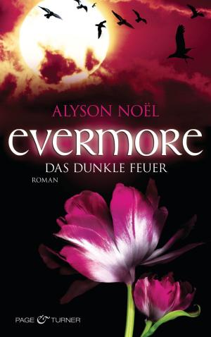Book cover of Evermore 4 - Das dunkle Feuer