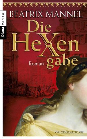 Cover of the book Die Hexengabe by Stefanie Gerstenberger