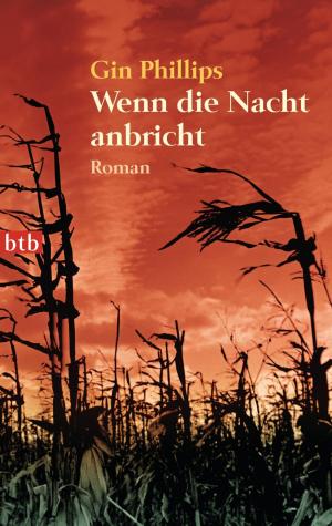 Book cover of Wenn die Nacht anbricht