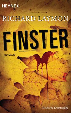 Book cover of Finster