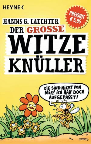 Cover of the book Der große Witze-Knüller by Andreas Brandhorst