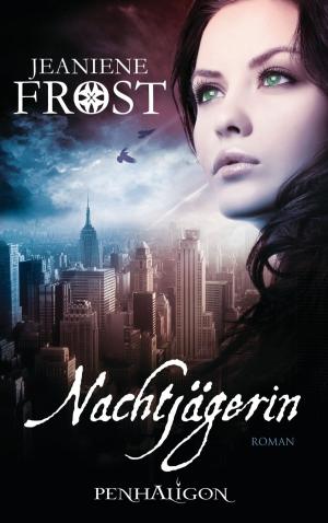 Book cover of Nachtjägerin