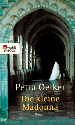 Cover of the book Die kleine Madonna by Janne Mommsen
