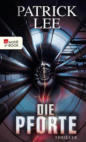 Cover of the book Die Pforte by Alex Boese
