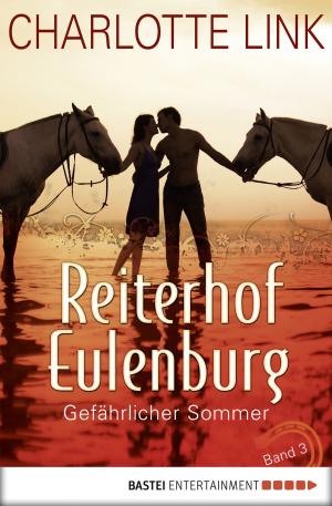 Book cover of Reiterhof Eulenburg - Gefährlicher Sommer