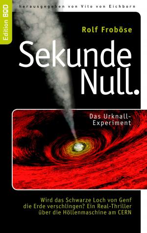 Cover of the book Sekunde Null Das Urknall-Experiment by Elke Selke