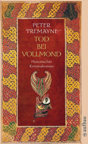 Cover of the book Tod bei Vollmond by Eliot Pattison