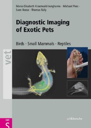 Cover of the book Diagnostic Imaging of Exotic Pets by Ruth van der Vight-Klußmann