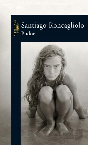 Cover of the book Pudor by Carl-Johan Forssén Ehrlin