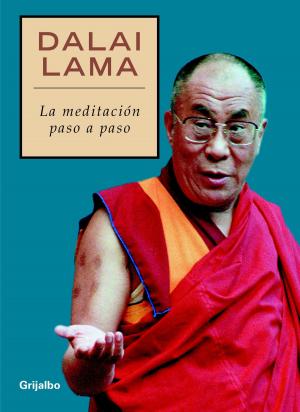 Cover of the book La meditación paso a paso by Terry Pratchett
