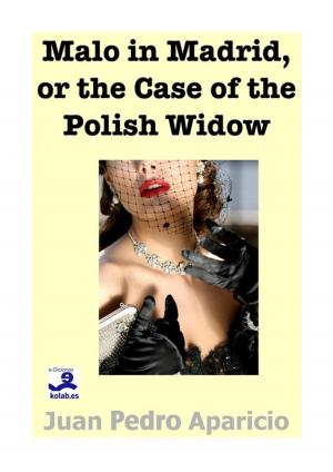 Book cover of Malo in Madrid or the Case of the Polish Widow