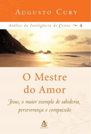 Cover of the book O Mestre do Amor by Abilio Diniz