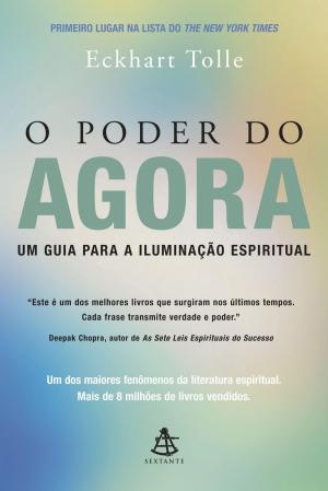 Cover of the book O Poder do Agora by Steve Chandler