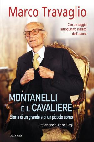 Book cover of Montanelli e il Cavaliere