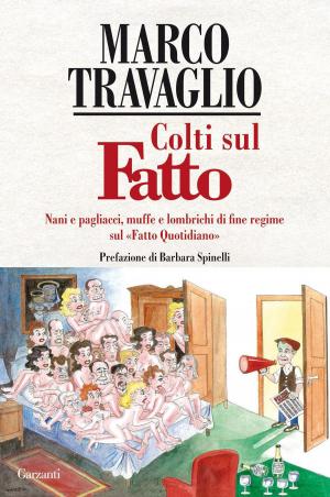 Cover of the book Colti sul Fatto by Bruno Morchio