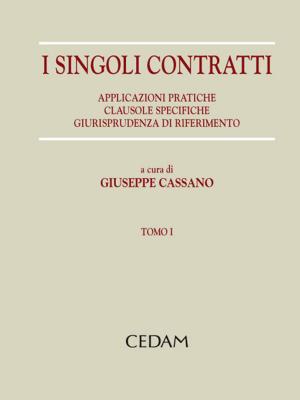 Cover of the book I singoli contratti by Paolo Tanda
