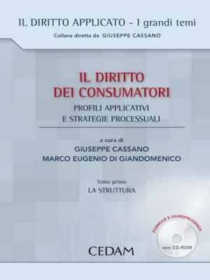 Cover of the book Il diritto dei consumatori by BUONADONNA ANNA LISA, DE FILIPPIS BRUNO, IOSCA LUCIANA, LUPO SIMONA, MEROLA MANLIO