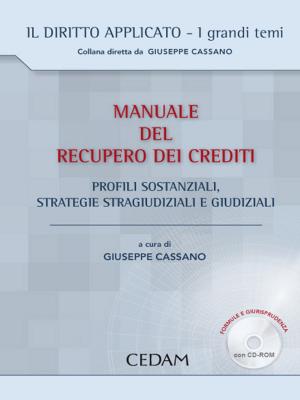 Cover of the book Manuale del recupero dei crediti by Cassano Giuseppe - Di Giandomenico Marco Eugenio