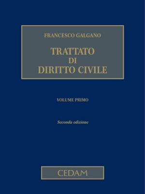 Cover of Trattato di diritto civile Vol. I