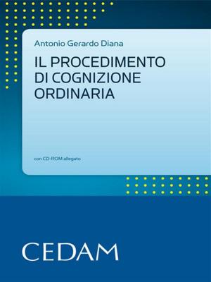 Book cover of Il procedimento di cognizione ordinaria