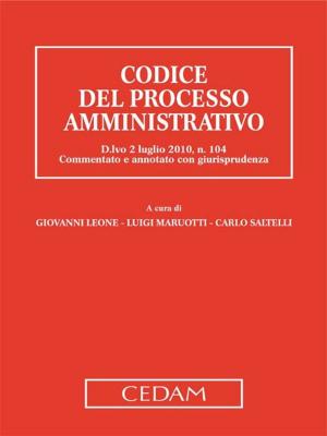 Cover of the book Codice del processo amministrativo by Clarizia Renato
