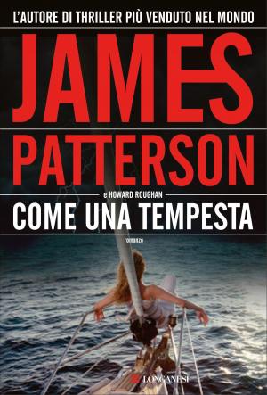 Book cover of Come una tempesta
