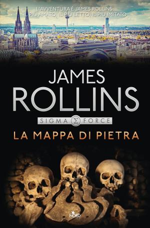 Cover of the book La mappa di pietra by James Rollins