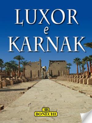 Book cover of Luxor e Karnak