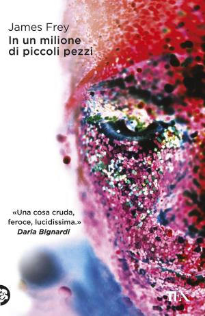 Cover of the book In un milione di piccoli pezzi by Brigitte Hamann