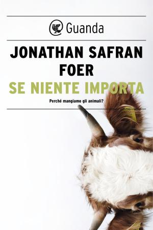 Book cover of Se niente importa