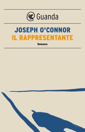 Cover of the book Il rappresentante by John Banville