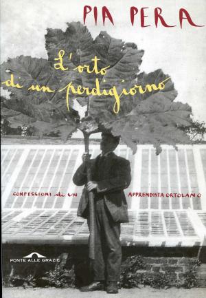 Book cover of L'orto di un perdigiorno