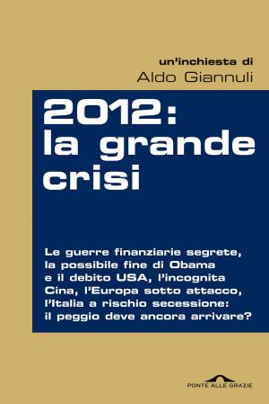 Cover of the book 2012: la grande crisi by Sarah Waters