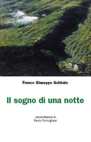 Cover of the book Il sogno di una notte by Rebecca Brents