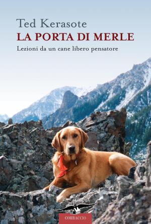 Book cover of La porta di Merle
