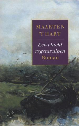Cover of the book Een vlucht regenwulpen by Tijs van den Boomen