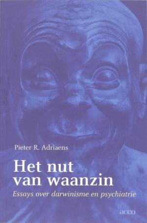 Cover of the book Het nut van waanzin by Dorothy Deena Theodore