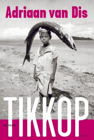 Cover of the book Tikkop by Chaja Polak