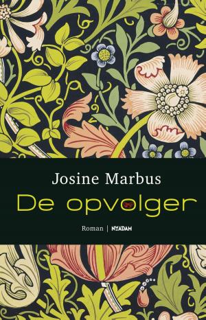 Cover of the book De opvolger by Edwin Gitsels, Nicole Buch