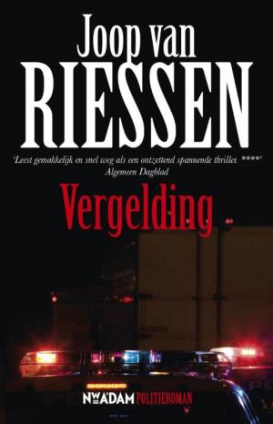 Cover of the book Vergelding by Derk Bolt